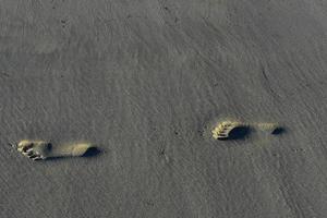 Simple sand foot prints on the coast of Massachusetts photo