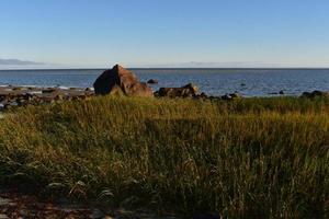 Stunning beach with blue skies and long beach grass photo