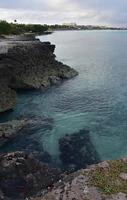 Tropical Waters Along the Coast of Aruba photo