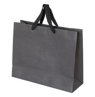 Gray paper bag isolated on white with clipping path photo