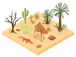 Desert Landscape Isometric Illustration