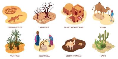 composiciones isométricas del desierto vector