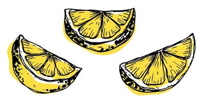 Vector lemon clipart. Hand drawn citrus set. Fruit illustration. For print, web, design, decor