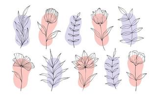 conjunto de elementos florales botánicos dibujados a mano. ilustración vectorial aislado sobre fondo blanco vector