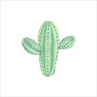 Watercolor cactus ,elements for invitations, greeting cards. vector
