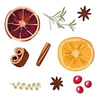 A set of spices for mulled wine orange, rosemary, cinnamon, berries. vector