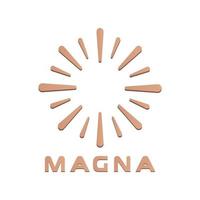 Abstract logo icon. Energy explosion fireworks explosion icon type,signs logotype logotype symbol. vector