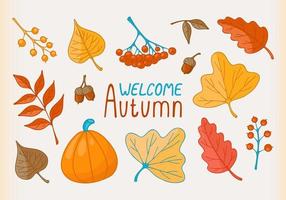 Vector set of Autumn elements. Hand drawn leaves, rowan and pumpkin. Modern fall seasonal decor.