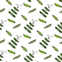 Seamless pattern with cute green peas and leaves on white background. Vector image.