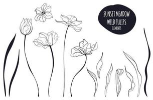 Tulip line art illustration in the scandinavian style vector