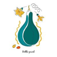 Gourd and leaves in cartoon style vector