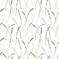 Lavender and wheat pattern vector