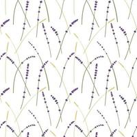 Lavender and wheat pattern vector