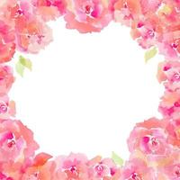 marco cuadrado floral y tarjeta de felicitación con rosas vector