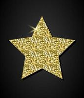 Glitter Golden Star vector