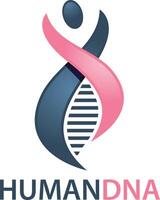 ADN humano y diseño de logotipos genéticos. vector