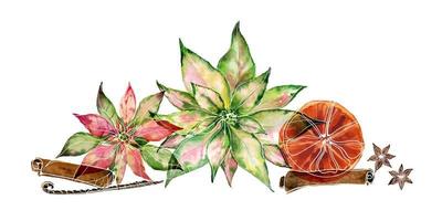 Christmas watercolor composition with poinsettia and christmas spices vector