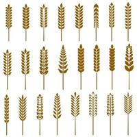 Wheat icon set. simple style organic local farm fresh food, bakery themed design. Vector illustration