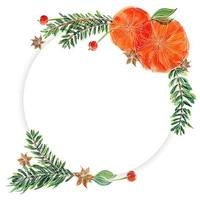 Christmas floral round frame with fir-tree and oranges vector