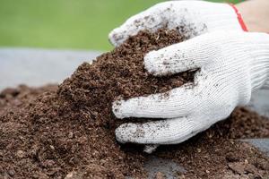 Hand holding peat moss organic matter improve soil for agriculture organic plant growing, ecology concept. photo