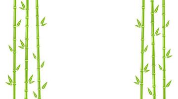 Bamboo background with stalk, branch and leaves. Green bamboo grove backdrop design. Vector illustration isolated in flat style on white background