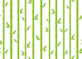 Bamboo seamless pattern. Simple flat green bamboo background with stalk, branch and leaves. Nature backdrop design. Abstract asian texture. Vector illustration on white background