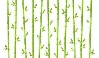 Bamboo background with stalk, branch and leaves. Green bamboo grove backdrop design. Vector illustration isolated in flat style on white background