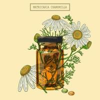 Medical Chamomile flowers and vial and pills vector