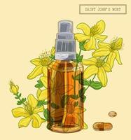 Saint Johns wort flowers and sprayer vector