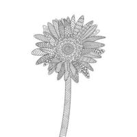 sunflower of zentangle coloring page with decorative flower background design illustration vector