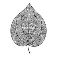 Decorative leaf vector graphic outline of coloring page template design with hand drawing