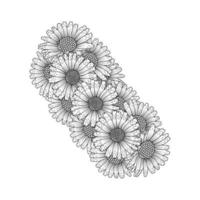 daisy flower drawing coloring page with doodle art design in detailed line art vector graphic