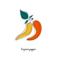 Cayene pepper in cartoon style vector