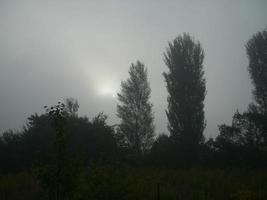 niebla de la mañana de otoño en el pueblo foto