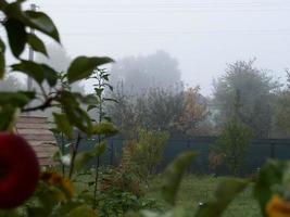 Autumn morning mist in the village photo