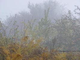 Autumn morning mist in the village photo