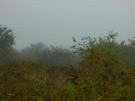 Autumn morning mist in the village photo