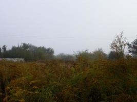 Autumn morning mist in the village photo