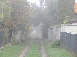 niebla de la mañana de otoño en el pueblo foto