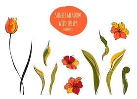 Yellow tulips field illustration in the scandinavian style vector