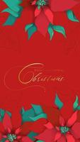 Christmas Poinsettia red silk greeting banner vector