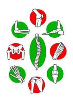 Human skeleton bones and joints icon set vector