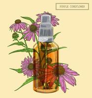 Purple coneflower branch and sprayer vector