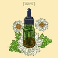 Feverfew flowers and green glass dropper vector