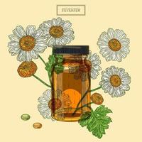 Medical feverfew flowers and vial and pills vector