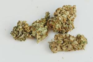 Marijuana buds on white background, close up. photo