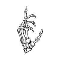 Hand Bones Illustration vector