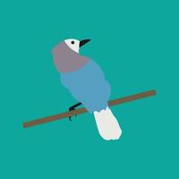 Bird Vector Illustration