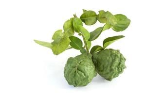 Whole bergamot, Kaffir lime, Leech lime or Mauritius papeda with leaf is a vegetable and herb of Thailand used as an ingredient in cooking and herbal medicine isolated on white background. photo