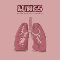 Lungs design for human breathing apparatus in pink color design vector